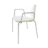 Catifa 46 0251 Armchair Bicolored Frame Chrome